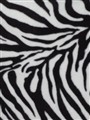 zebra.JPG